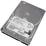 Ibm DS4200 500GB SATA EV-DDM (42D0389)